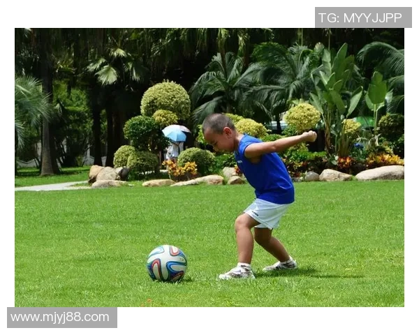 绿茵草场上的雪域骄子讲述藏族足球球星的拼搏与荣耀